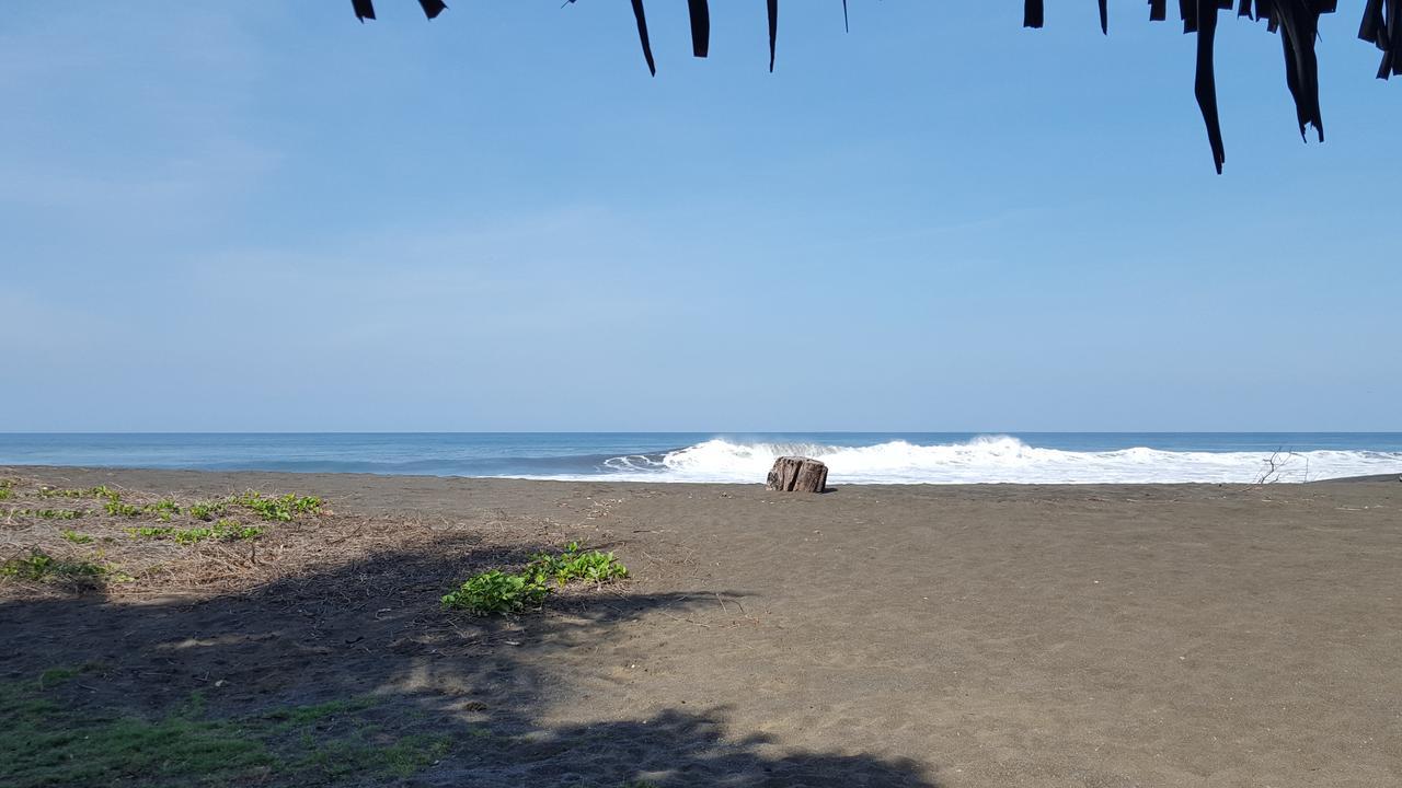 Hotel Sandpiper Jaco Luaran gambar