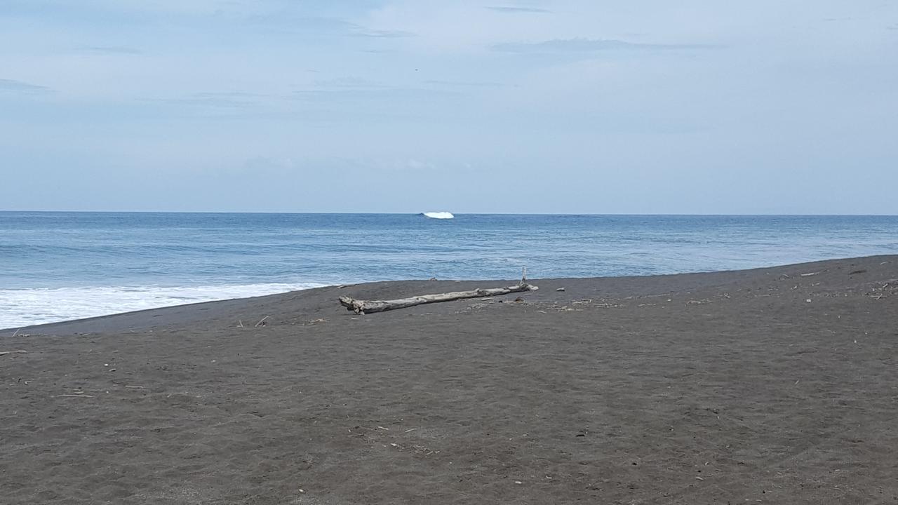 Hotel Sandpiper Jaco Luaran gambar