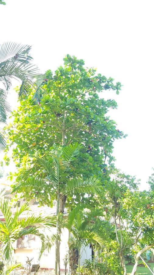Hotel Sandpiper Jaco Luaran gambar